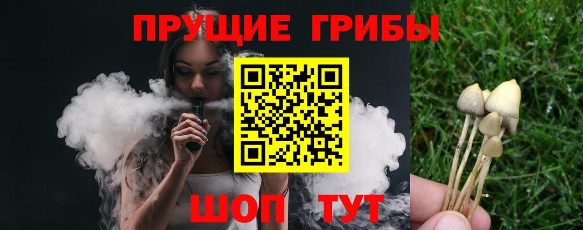 Галлюциногенные грибы мицелий Кемерово